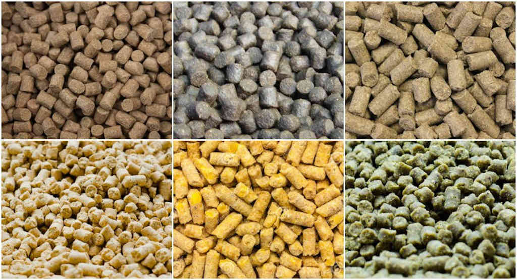Proceso de peletización para biocombustibles y soluciones industriales sostenibles